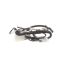 Picture of GE Harness Lights Indicator Part# WB18X10172