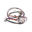 Picture of GE Harness Induction Part# WB18X31605