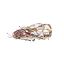 Picture of GE Harness Master Part# WB18X41008