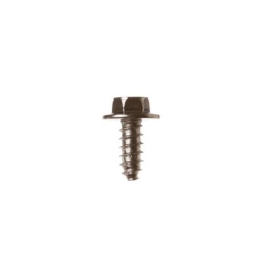 Picture of GE Screws Part# WB1M1