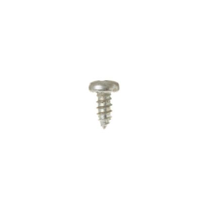 Picture of GE Screw Part# WB1X681