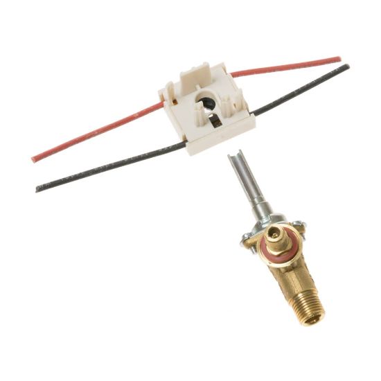 Picture of GE Valve Top Bu Part# WB21K39