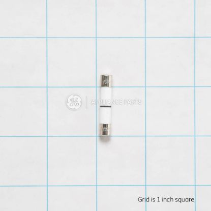 Picture of GE Fuse Part# WB27X10928