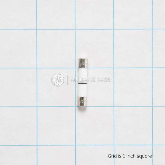 Picture of GE Fuse Part# WB27X10928