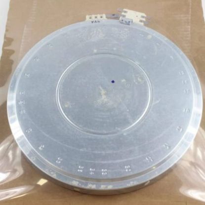 Picture of GE Element Haliant 12 In Part# WB30T10112