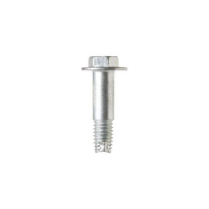 Picture of GE Pulley Screw Part# WD02X10206