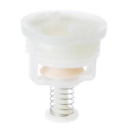 Picture of GE Piston & Nut Assembly Part# WD24X10018