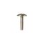 Picture of GE Screw Part# WD2X296