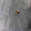 Picture of GE Striker Door Part# WE01X10377