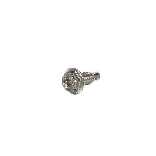 Picture of GE Terminal Block Screw Part# WE02X34497