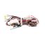 Picture of GE Main Harness Electric Dryer Part# WE08X37197
