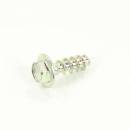 Picture of GE Hex. Pt Screw K80 X 3.59 Part# WH01X10616