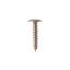 Picture of GE Screw Part# WH02X10394
