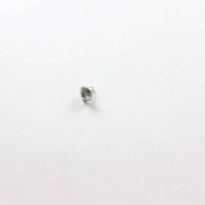Picture of GE Screw Part# WH02X26927