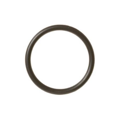Picture of GE O Ring Part# WH09X22745