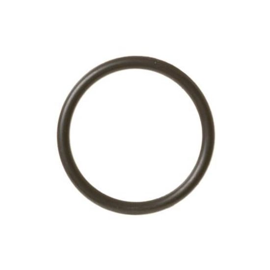 Picture of GE O Ring Part# WH09X22745