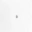 Picture of GE Screw Part# WH2X1211