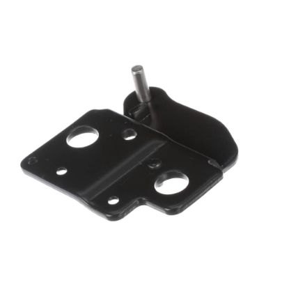 Picture of GE Outer Door Lower Hinge Part# WR14X31793