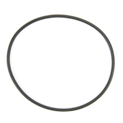 Picture of GE O-ring Part# WS03X10054