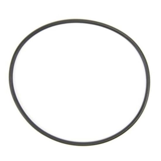 Picture of GE O-ring Part# WS03X10054