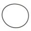 Picture of GE O-ring Part# WS03X10054