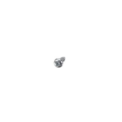 Picture of Samsung Screw-tapping Part# 6002-000630