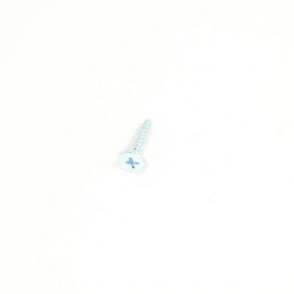 Picture of Samsung Screw-tapping Part# 6002-001120