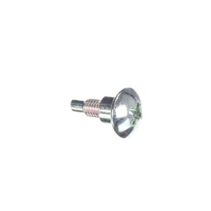 Picture of Samsung Screw-special Part# 6009-001342
