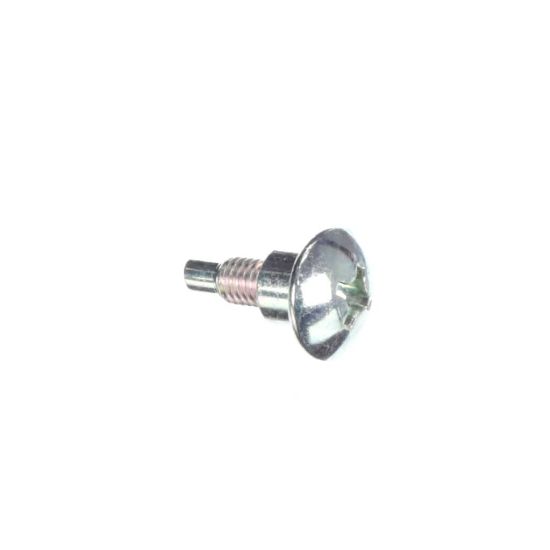 Picture of Samsung Screw-special Part# 6009-001342