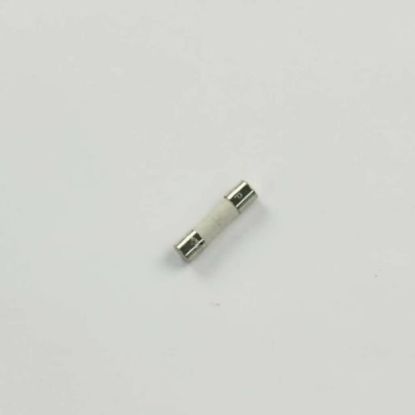 Picture of Samsung Fuse Part# BN81-04739A