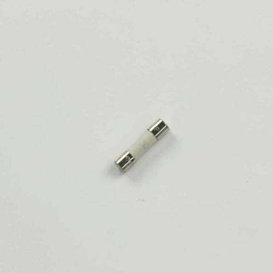 Picture of Samsung Fuse Part# BN81-04739A