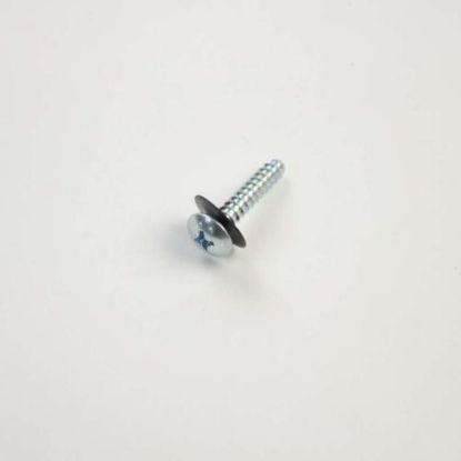 Picture of Samsung Assembly Screw Part# DC97-09193A