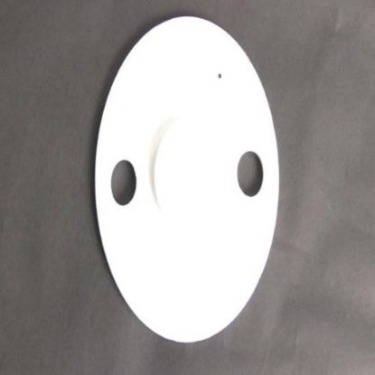 Picture of Samsung Cusion Sensor Leakage Part# DD81-02288A