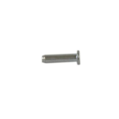 Picture of Samsung Pin Hinge Part# DE60-60008A