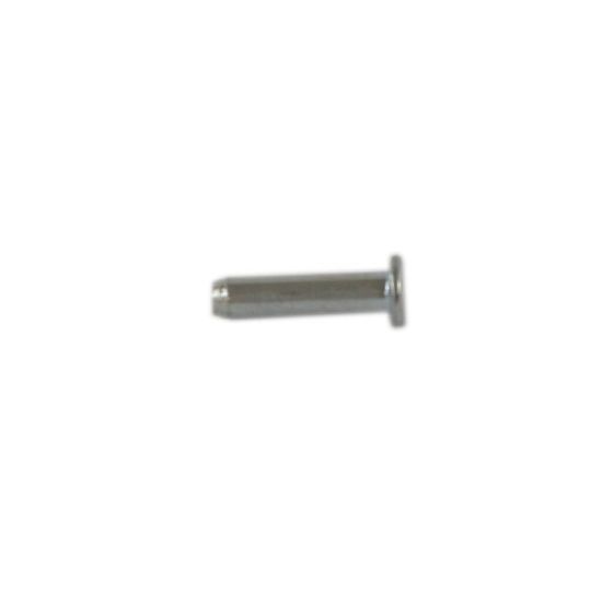 Picture of Samsung Pin Hinge Part# DE60-60008A