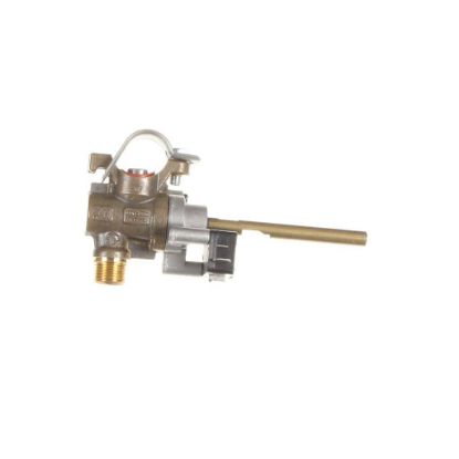 Picture of Samsung Svc-asy Dual Valve Ng Part# DE81-02355A