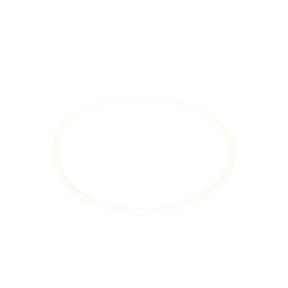 Picture of Samsung Svc O Ring D Burner Part# DE81-08744A