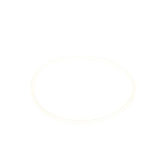 Picture of Samsung Svc O Ring D Burner Part# DE81-08744A