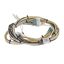 Picture of Samsung Assembly Wire Harness-sub Part# DG96-00889A