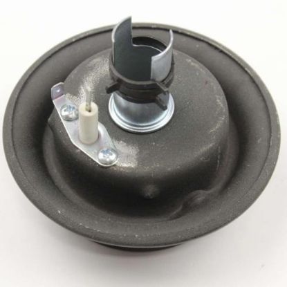 Picture of Whirlpool Burnr-head Part# 12001495