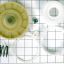 Picture of Whirlpool Washing Machine Drive Pulley Clutch Part# W10721967