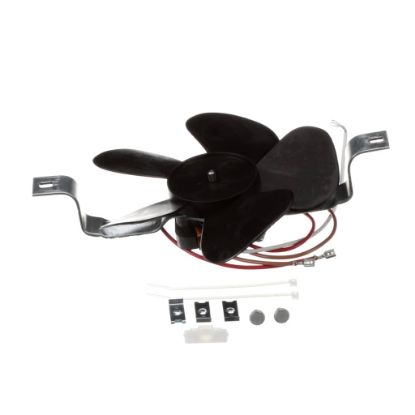 Picture of Whirlpool Motor-fan Part# W10910693