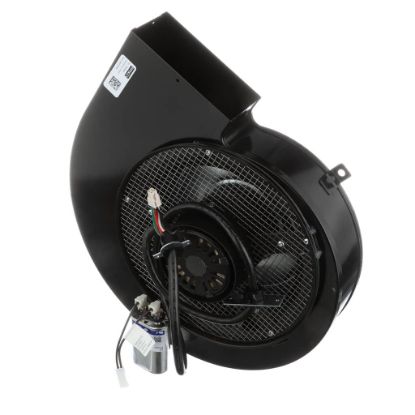 Picture of Whirlpool Motor-blwr Part# W10921431