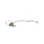 Picture of Whirlpool Holder-orf Part# W11186519