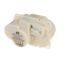 Picture of Whirlpool Motor Part# W11202789