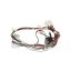 Picture of Whirlpool Wire Assy-evap/htr&s/pole Part# W11305543