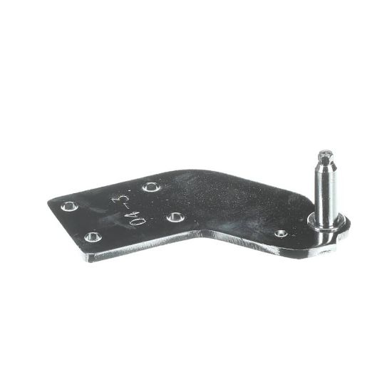 Picture of Whirlpool Hinge-door Part# W11312624