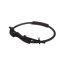 Picture of Whirlpool Hose, Psw Assembly Part# W11456953