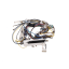 Picture of Whirlpool Harness Conv Gm Part# W11578578