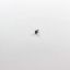 Picture of Whirlpool Screw Part# WP25-7893